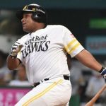 alfredo-despaigne-japon-halcones-bio